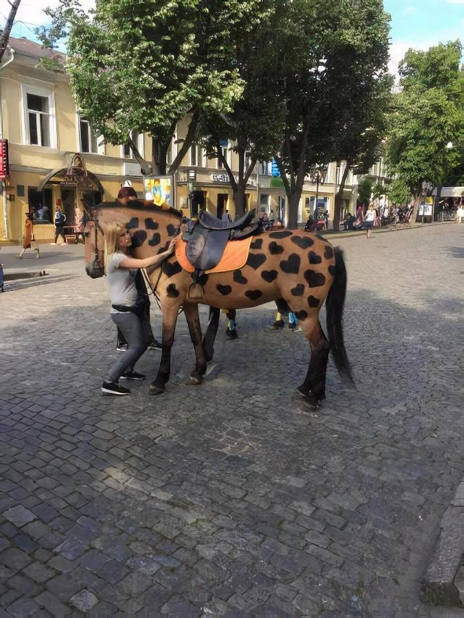 "Ваша Квартира" - У Самого Дерибаса! "Ваша Квартира" Біля Самого Дерибаса! Odessa Eksteriør bilde